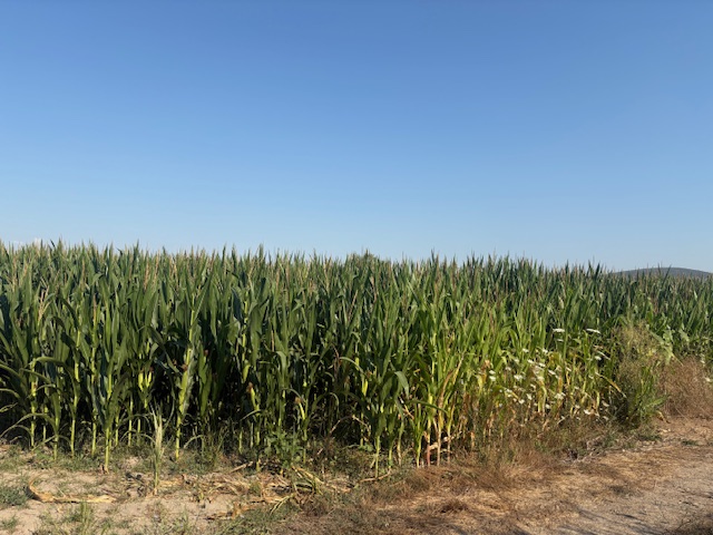 photo2