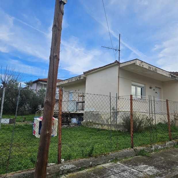 photo1