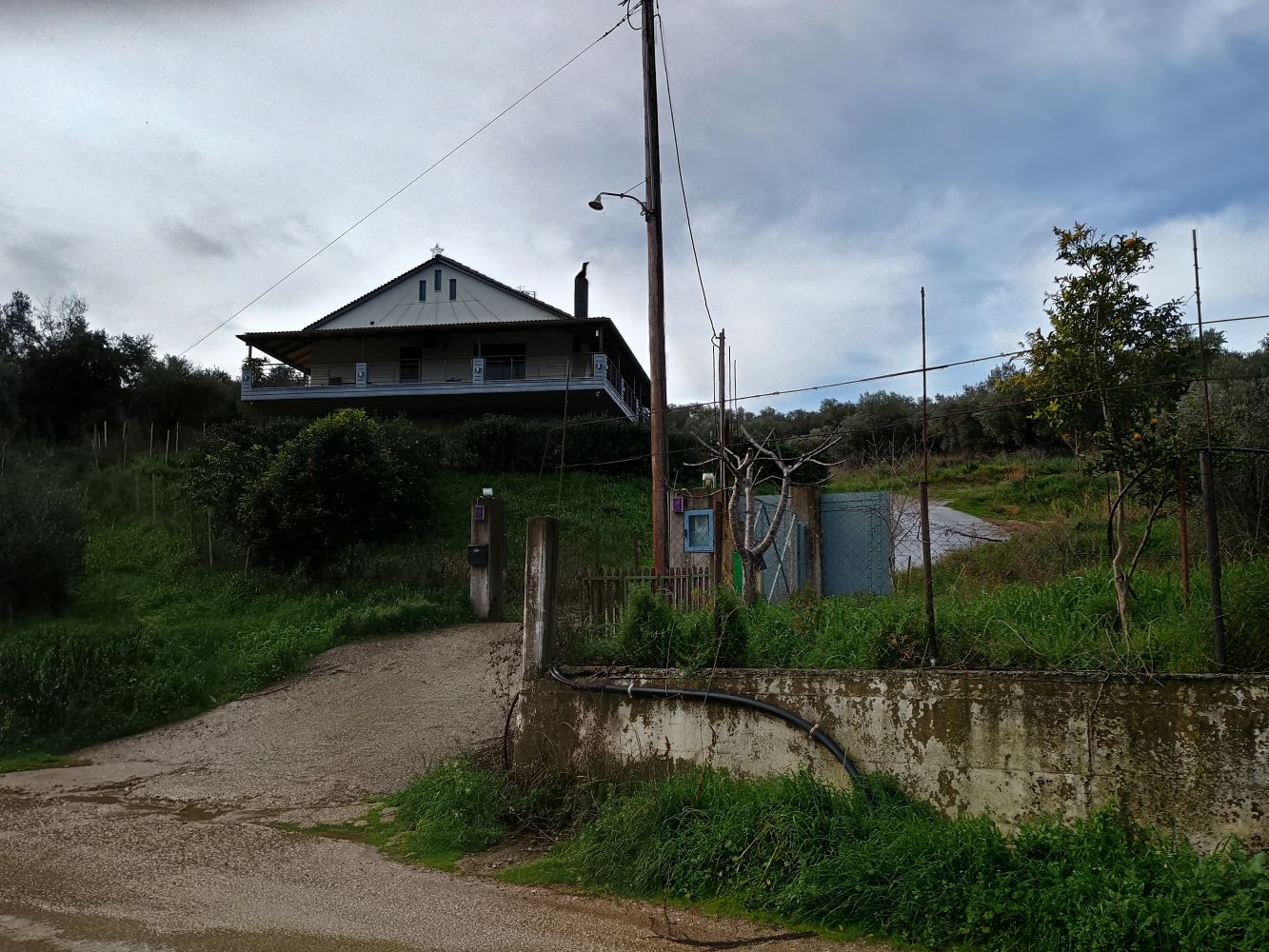 photo0