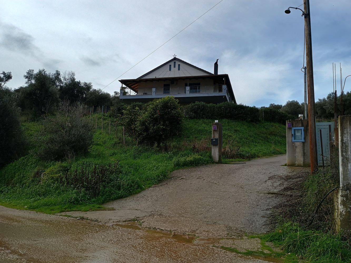 photo1