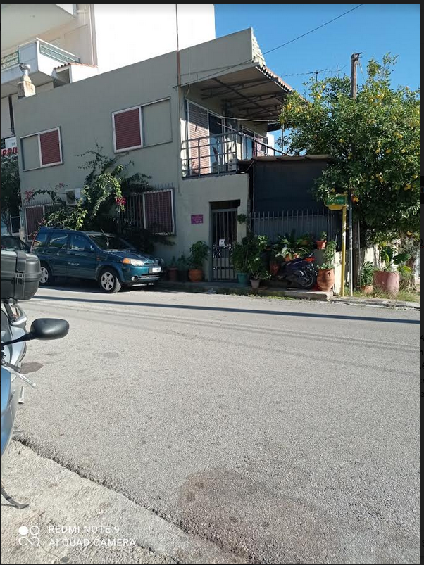 photo1