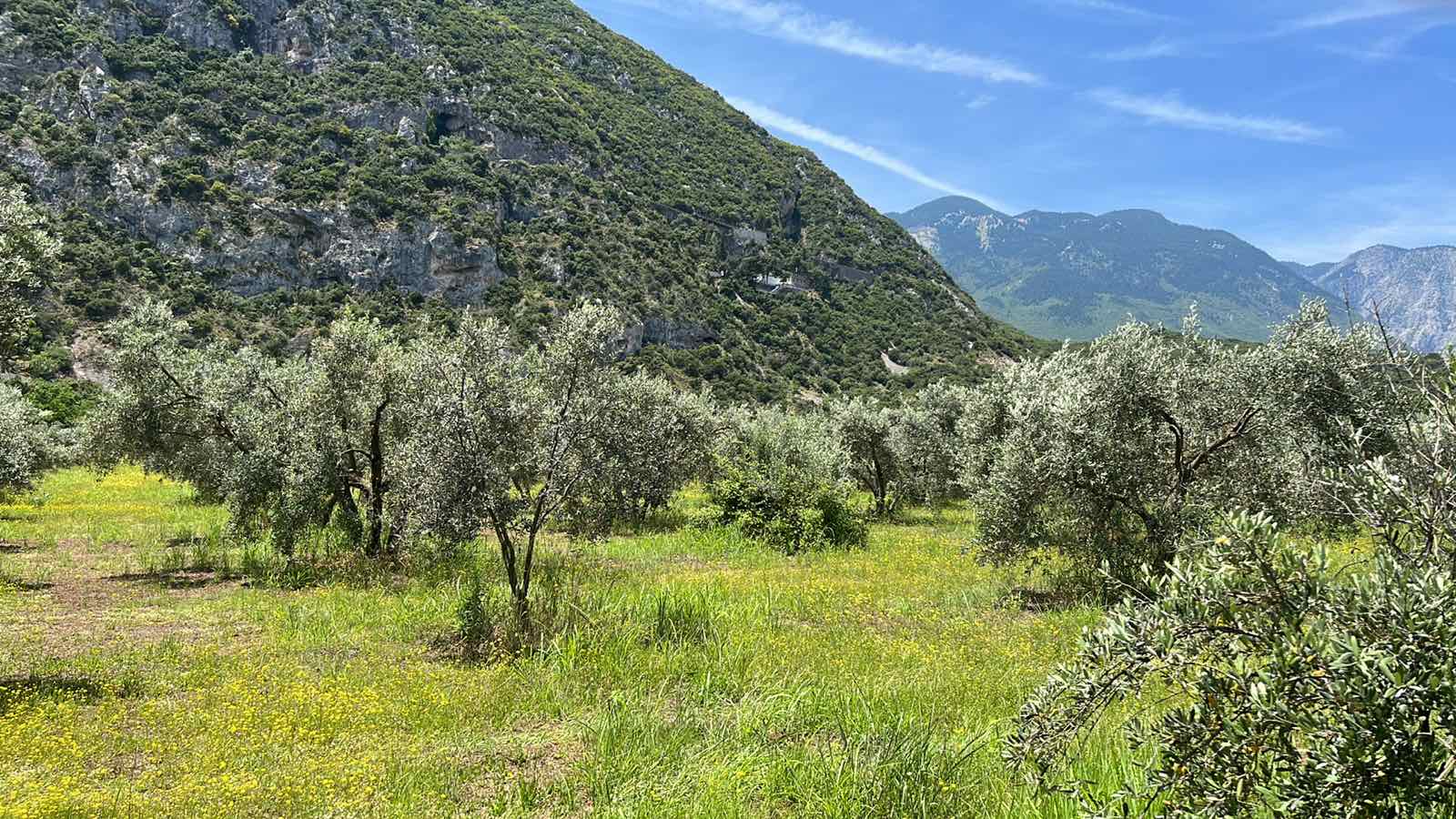 photo1