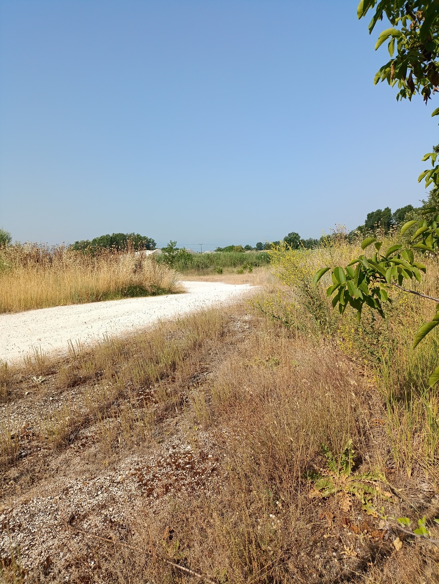 photo4