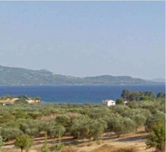 Αγροτεμάχιο  σε πλειστηριασμό Δήμος Στυλίδος