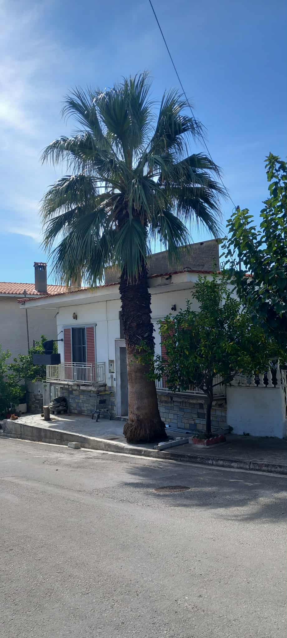 Οικόπεδο με κτίσμα  σε πλειστηριασμό Δήμος Βόλου