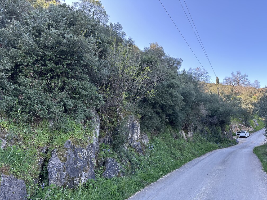 Αγροτεμάχιο  σε πλειστηριασμό Δήμος Κέρκυρας