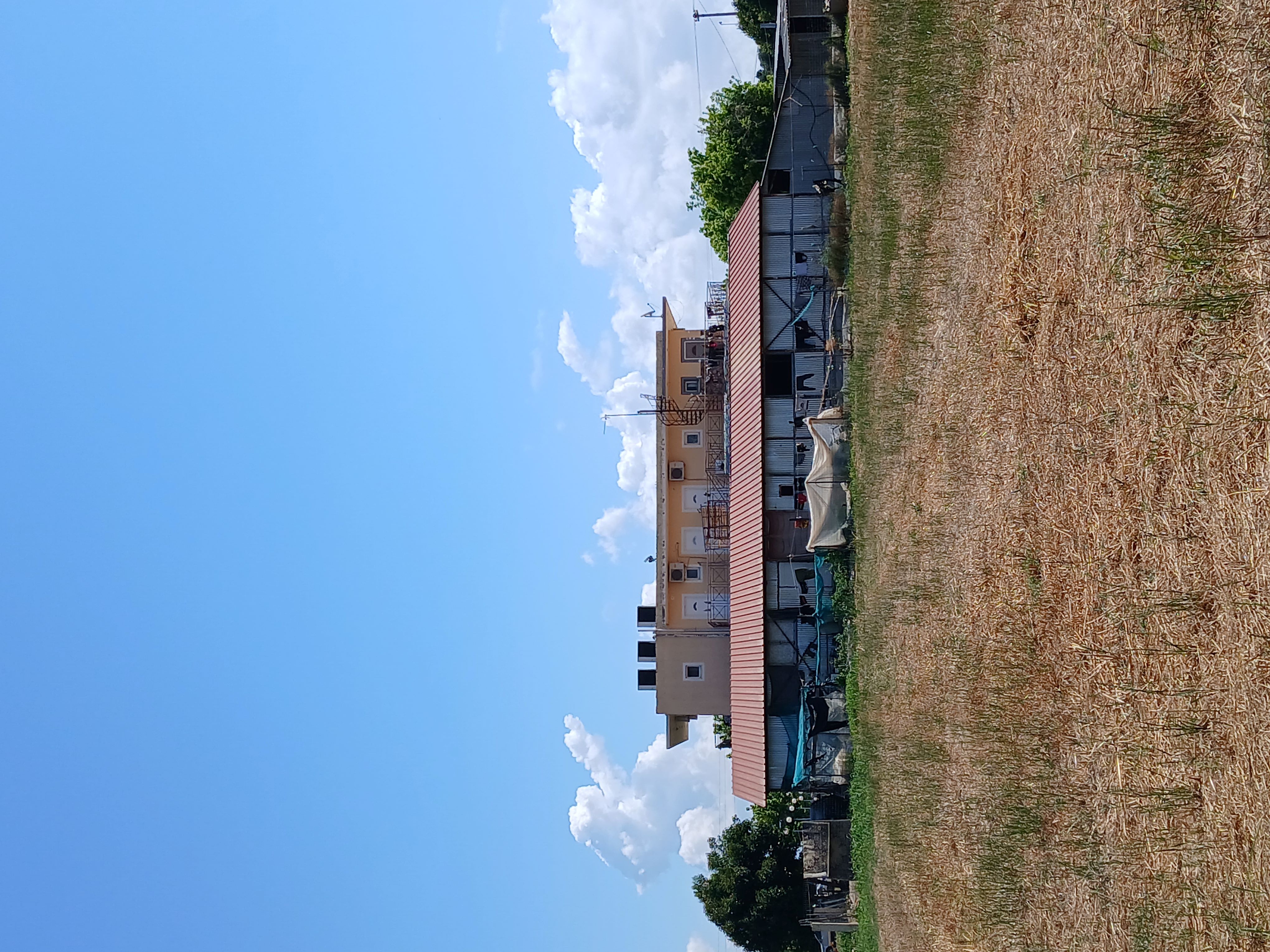 photo0