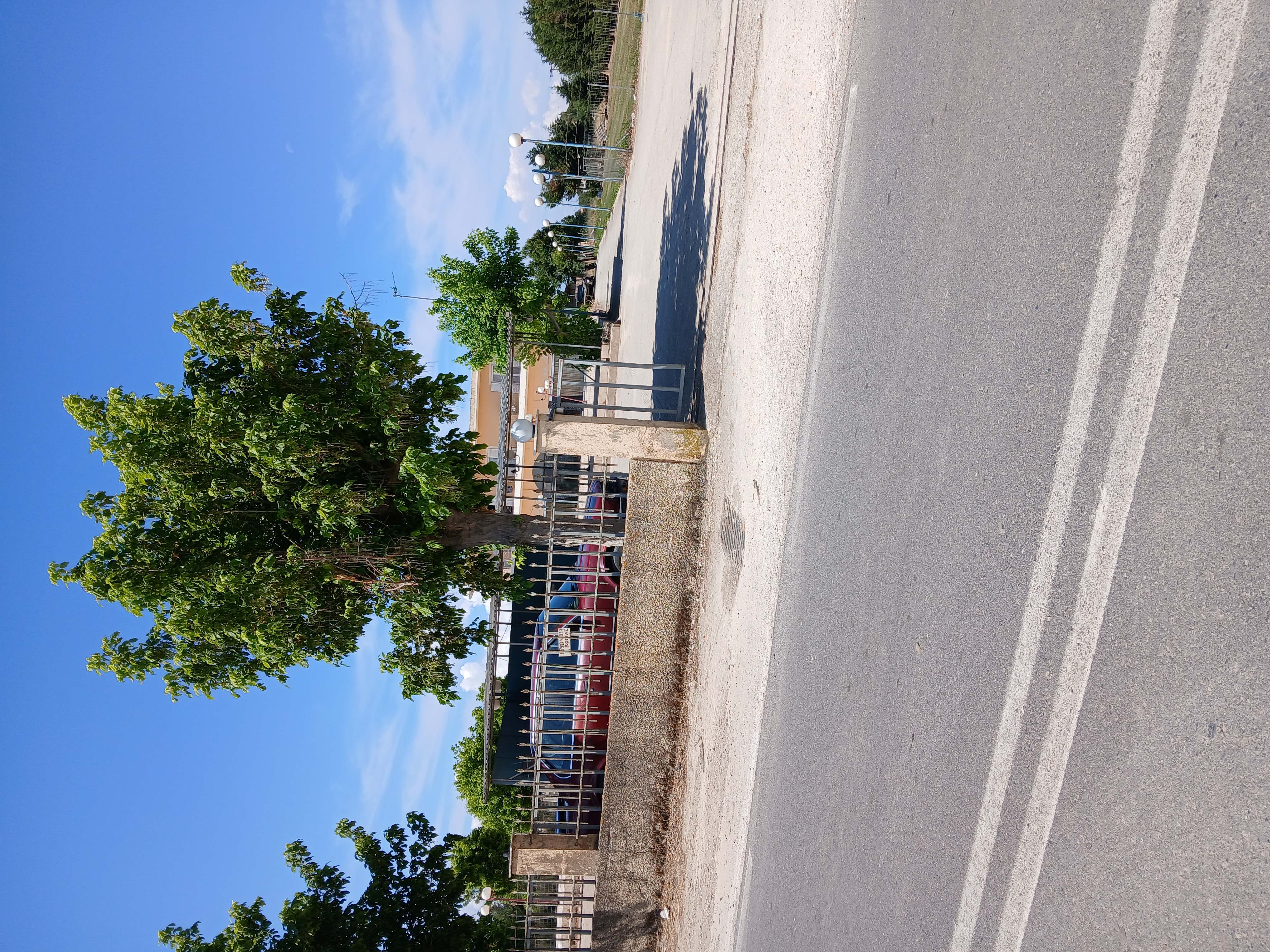 photo1