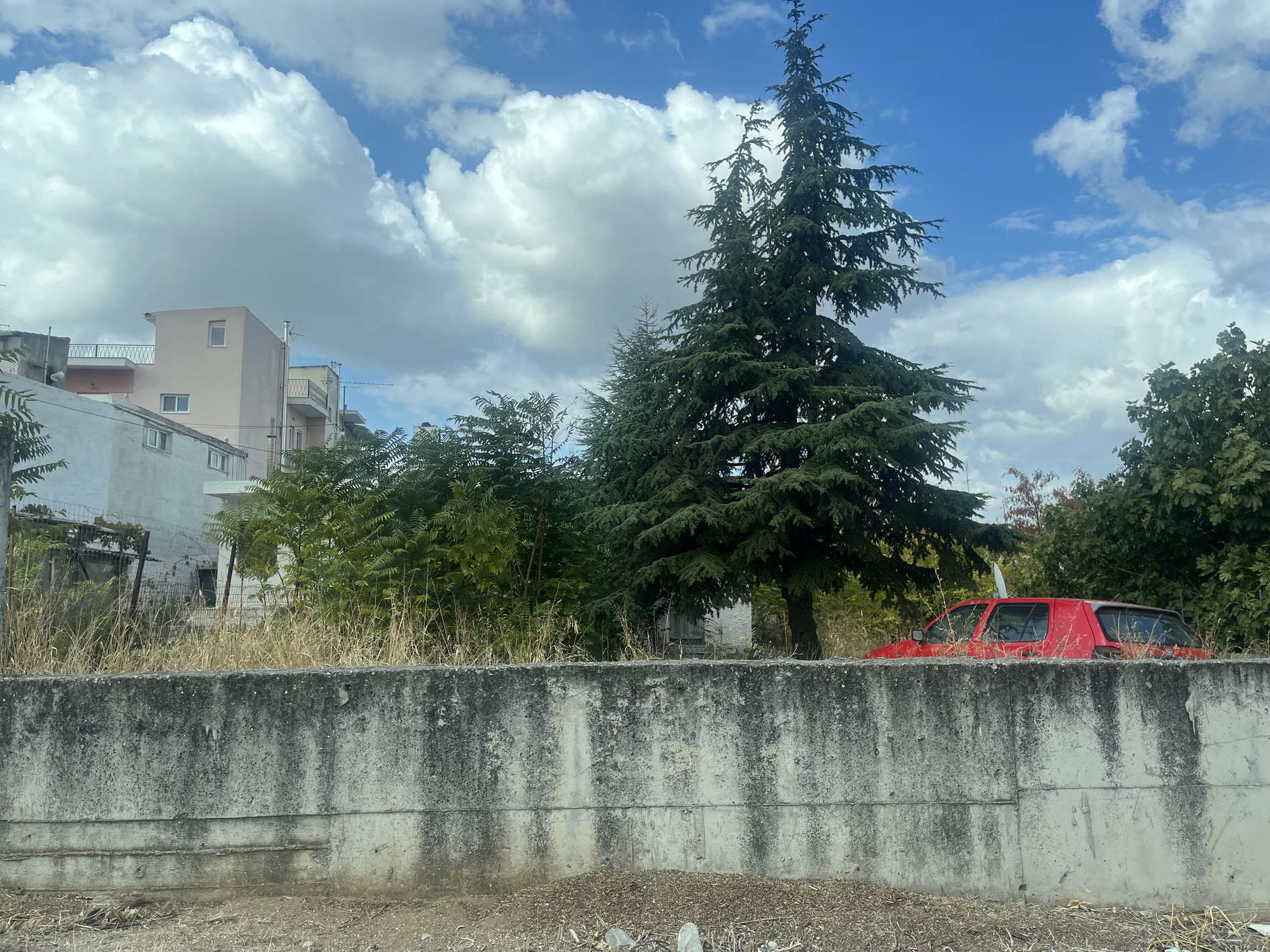 photomain