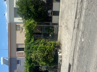 photo1