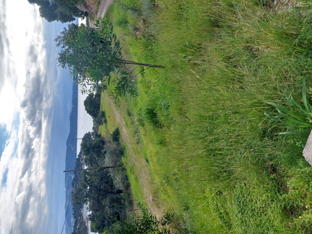 photo1