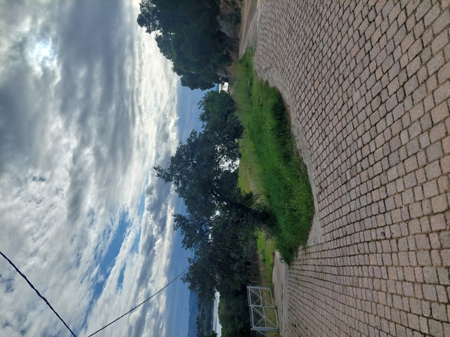 photo2