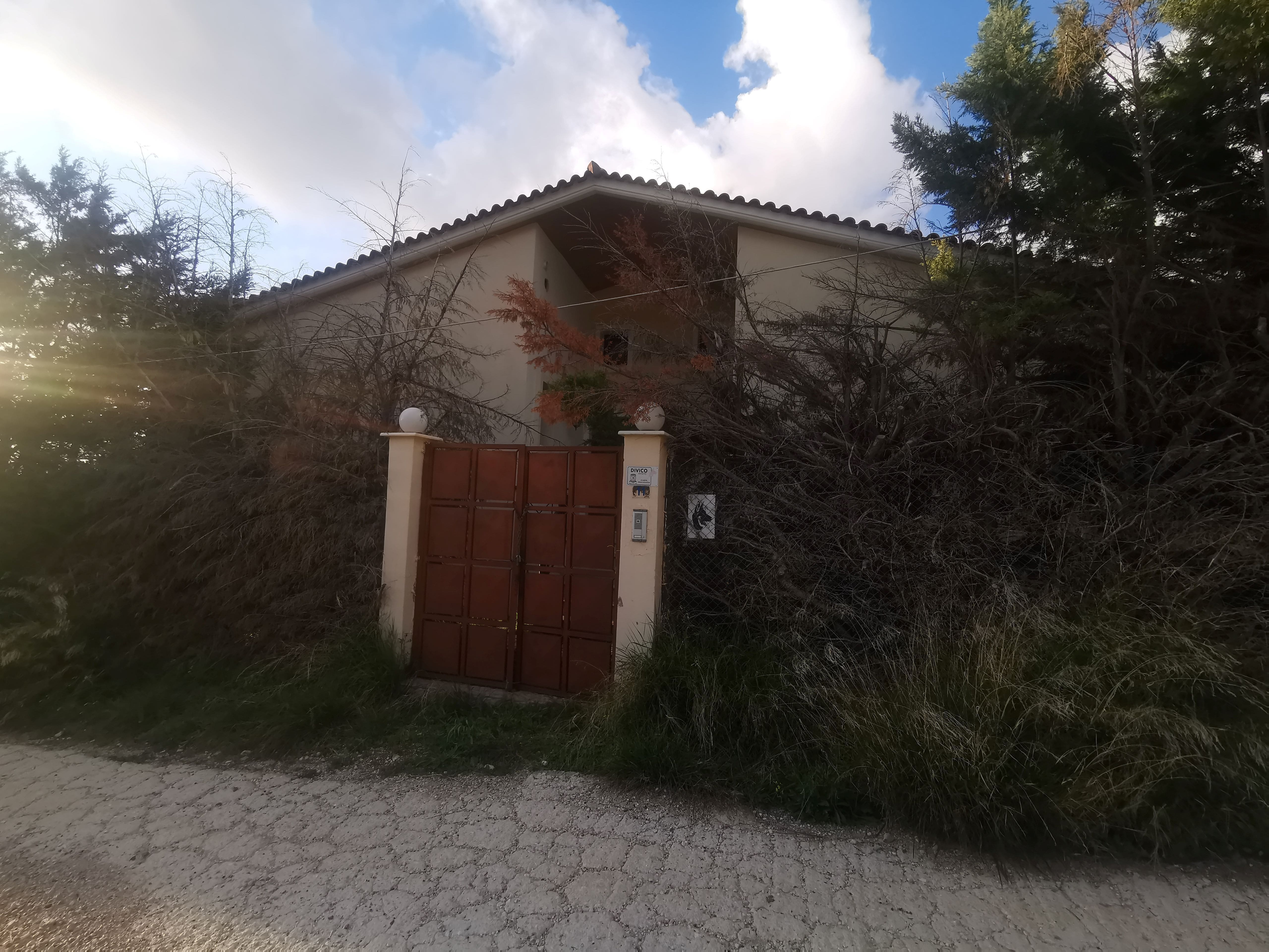 photo4