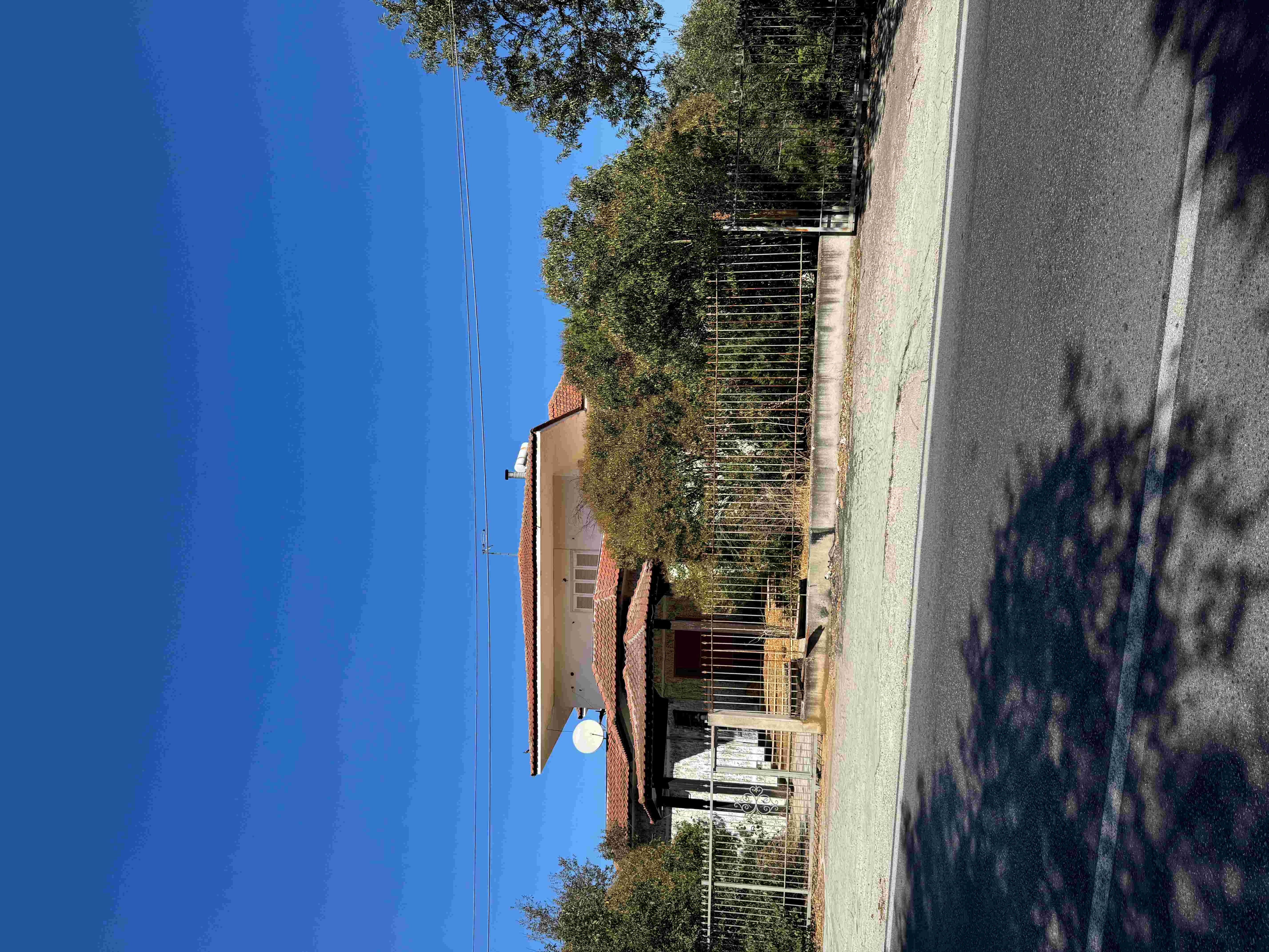 photo1