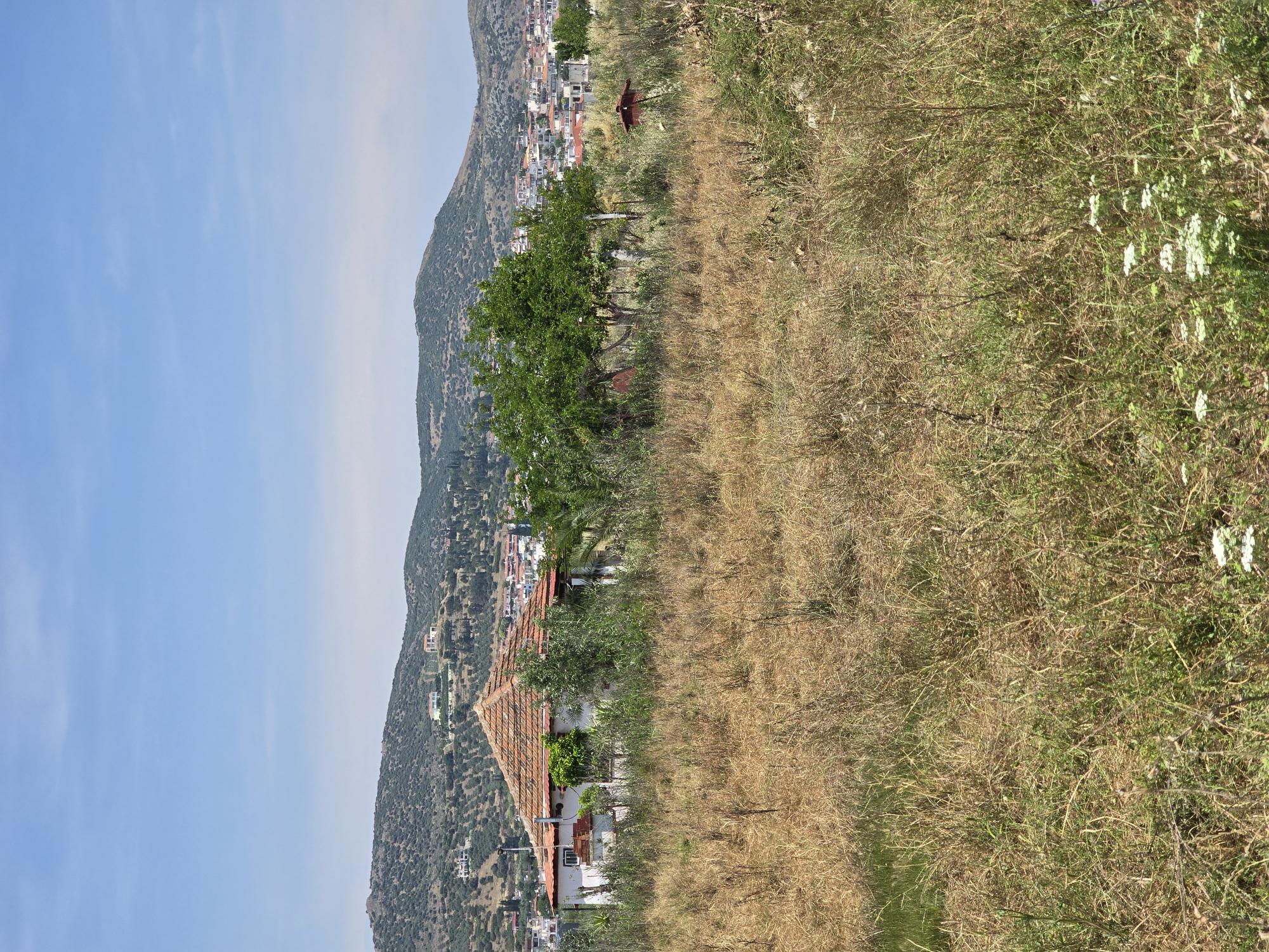 photo0
