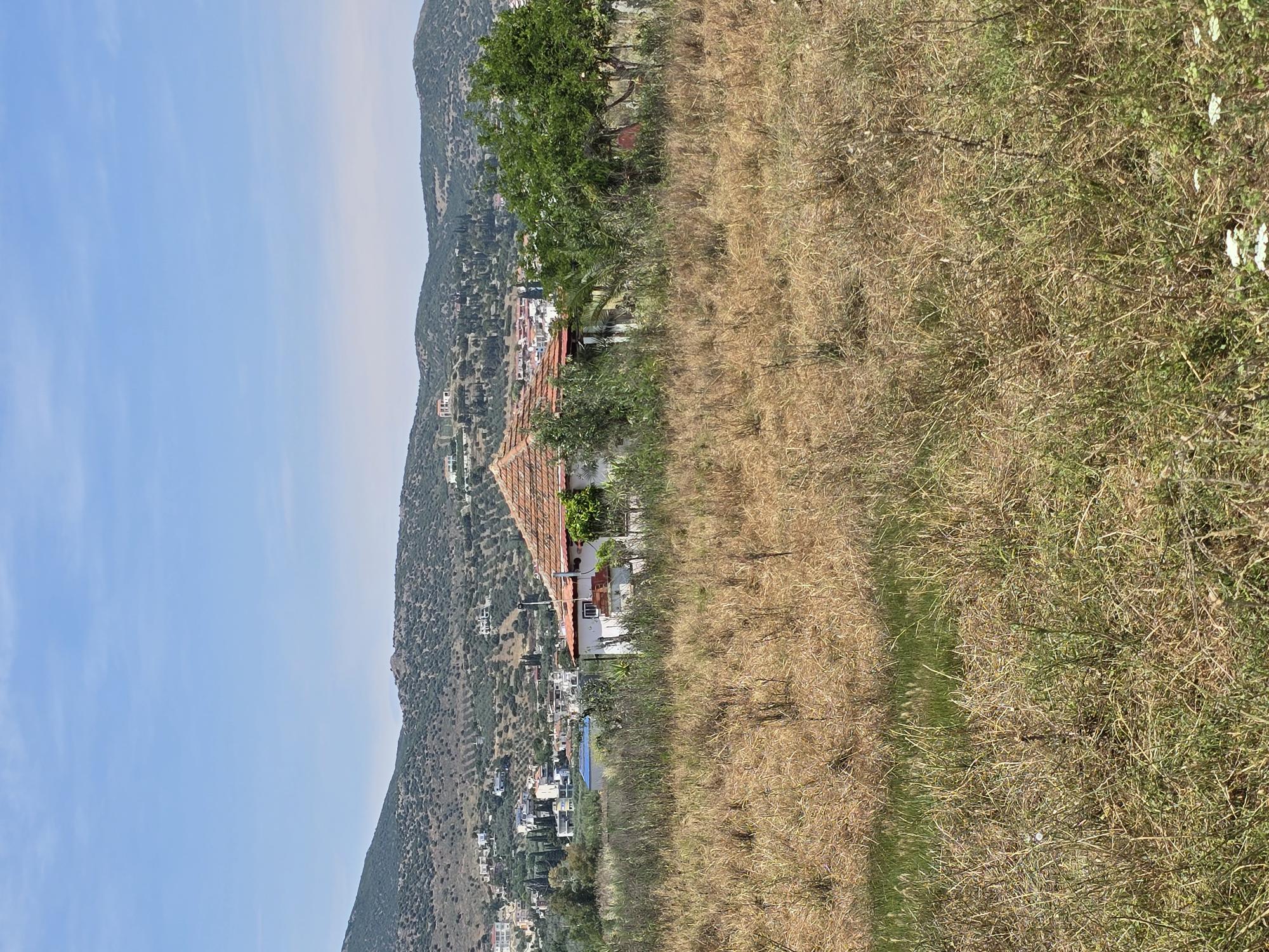 photo1