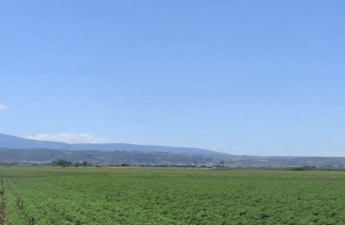 photo0