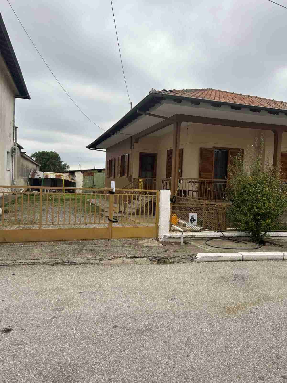 photo0