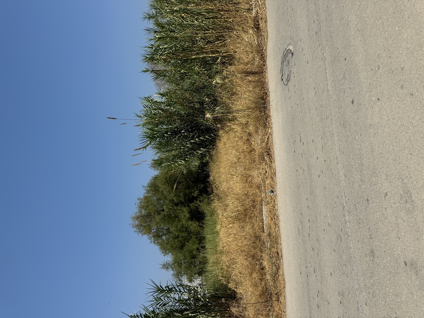 Οικόπεδο  σε πλειστηριασμό Δήμος Πατρέων