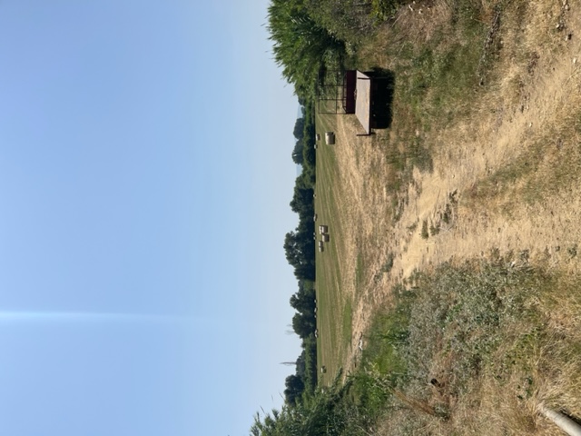 photo1
