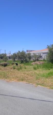 photo0