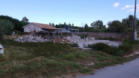 photo1