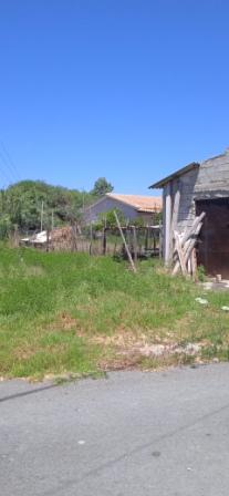 photo2
