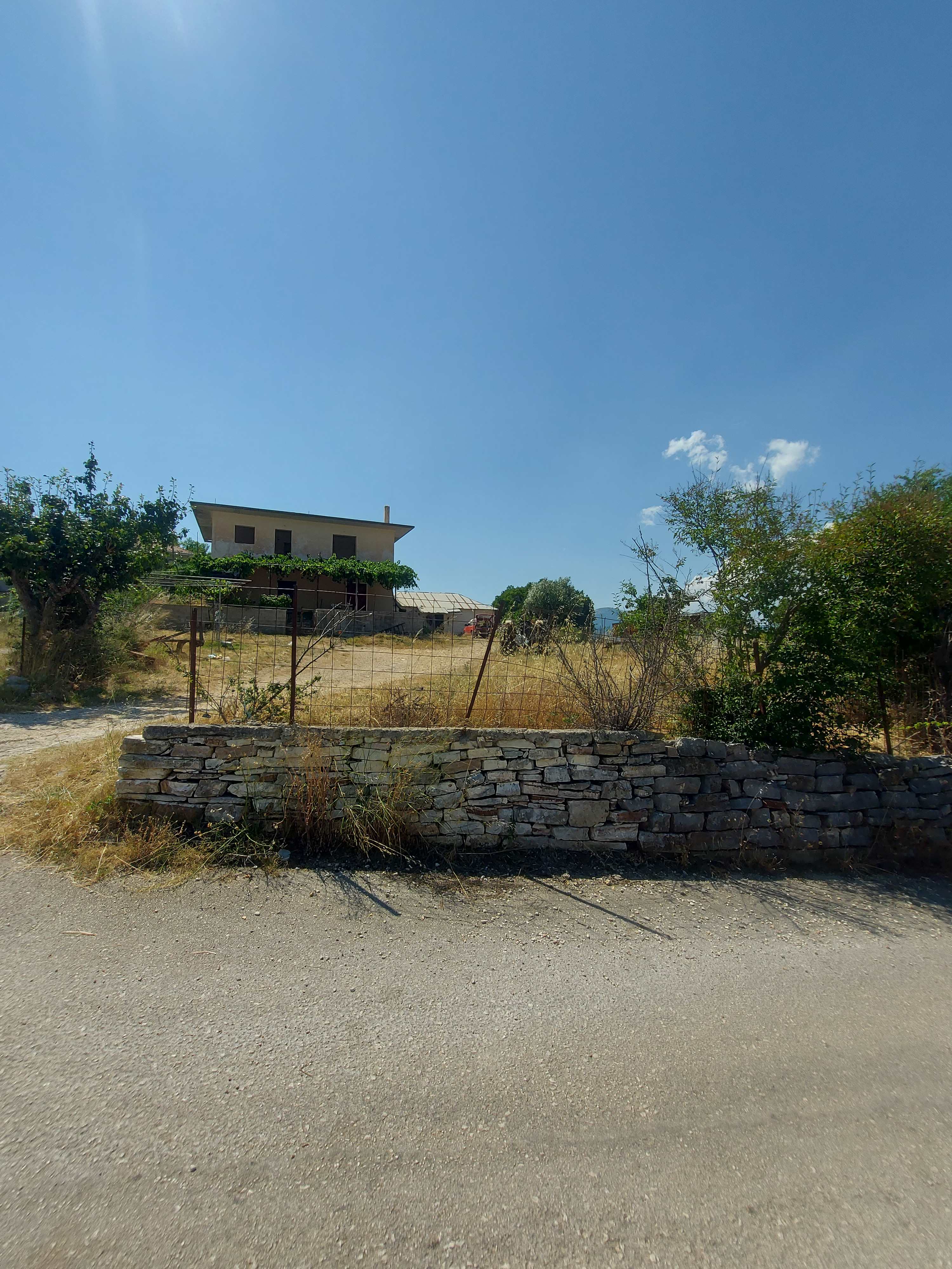 photo1
