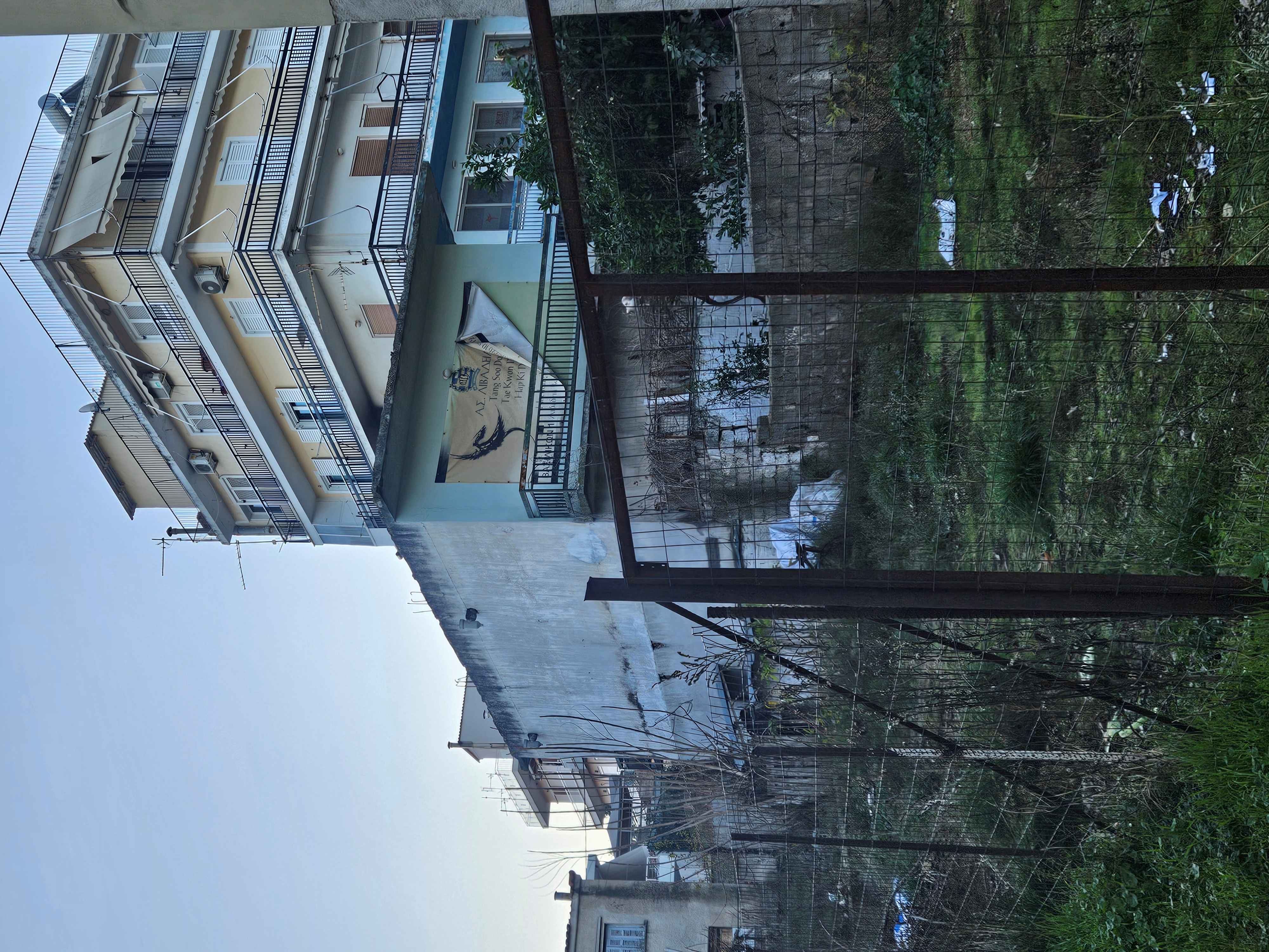 photo1