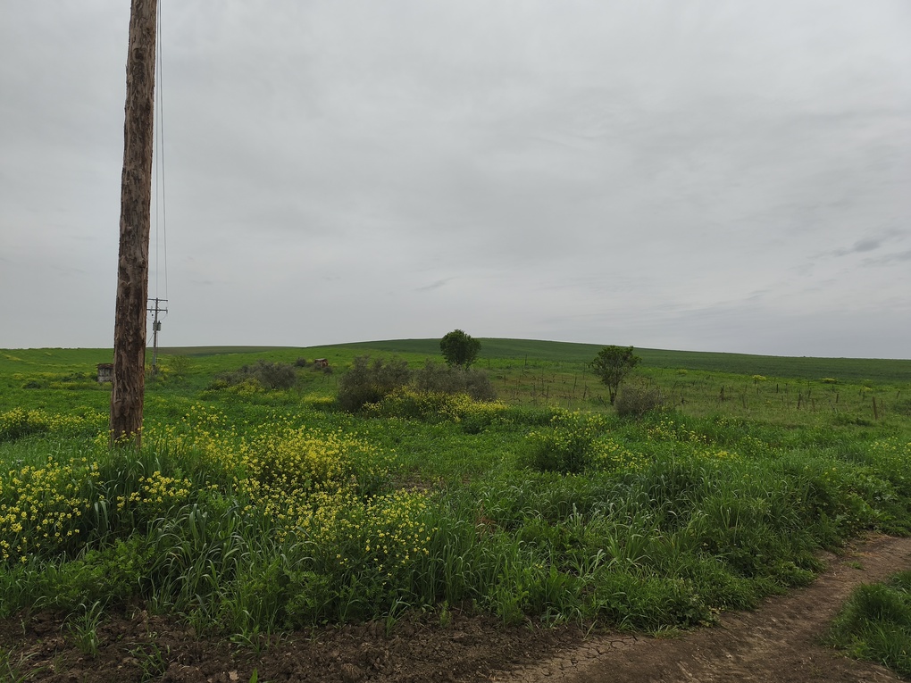 photo0