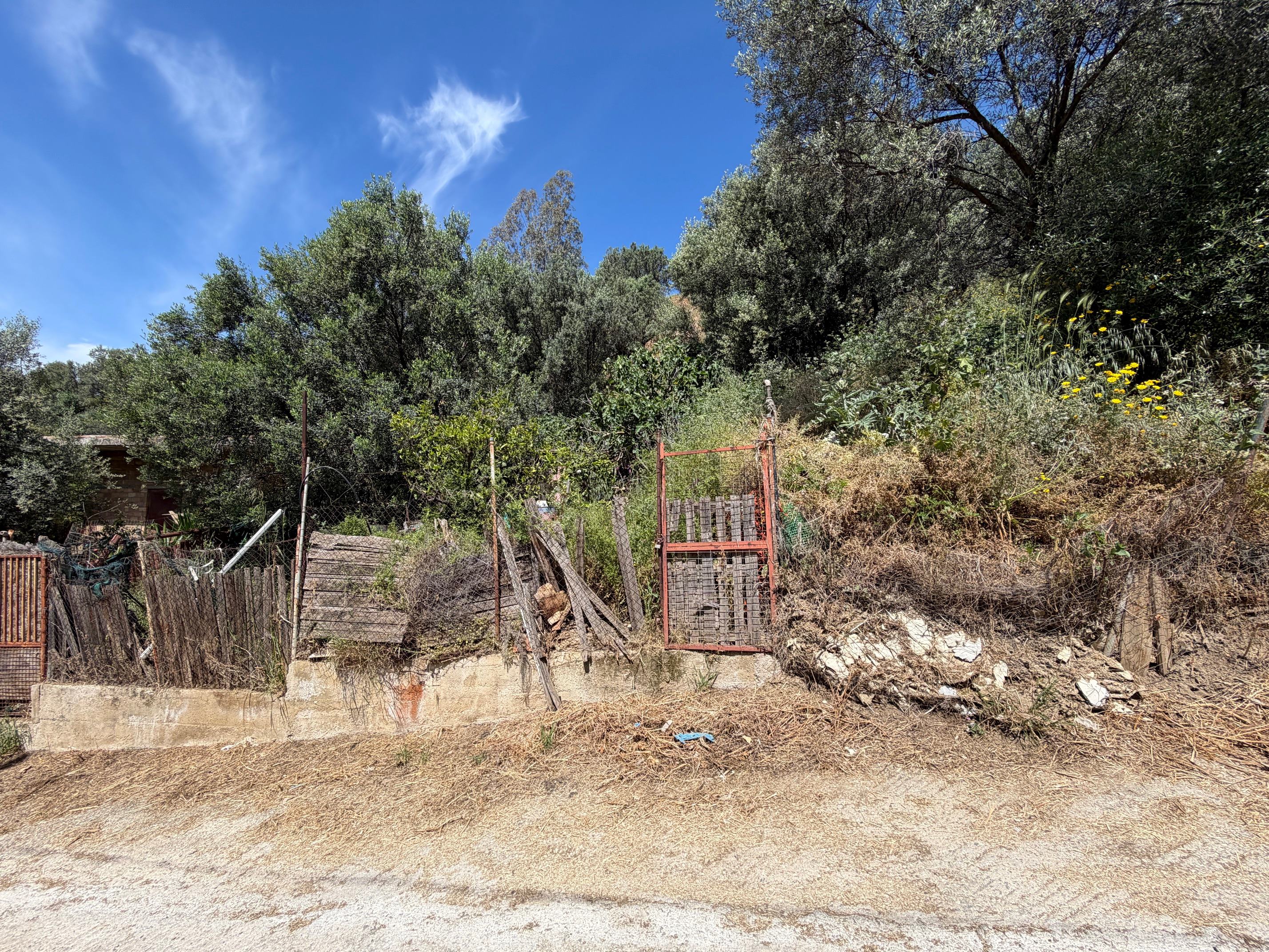 photo15