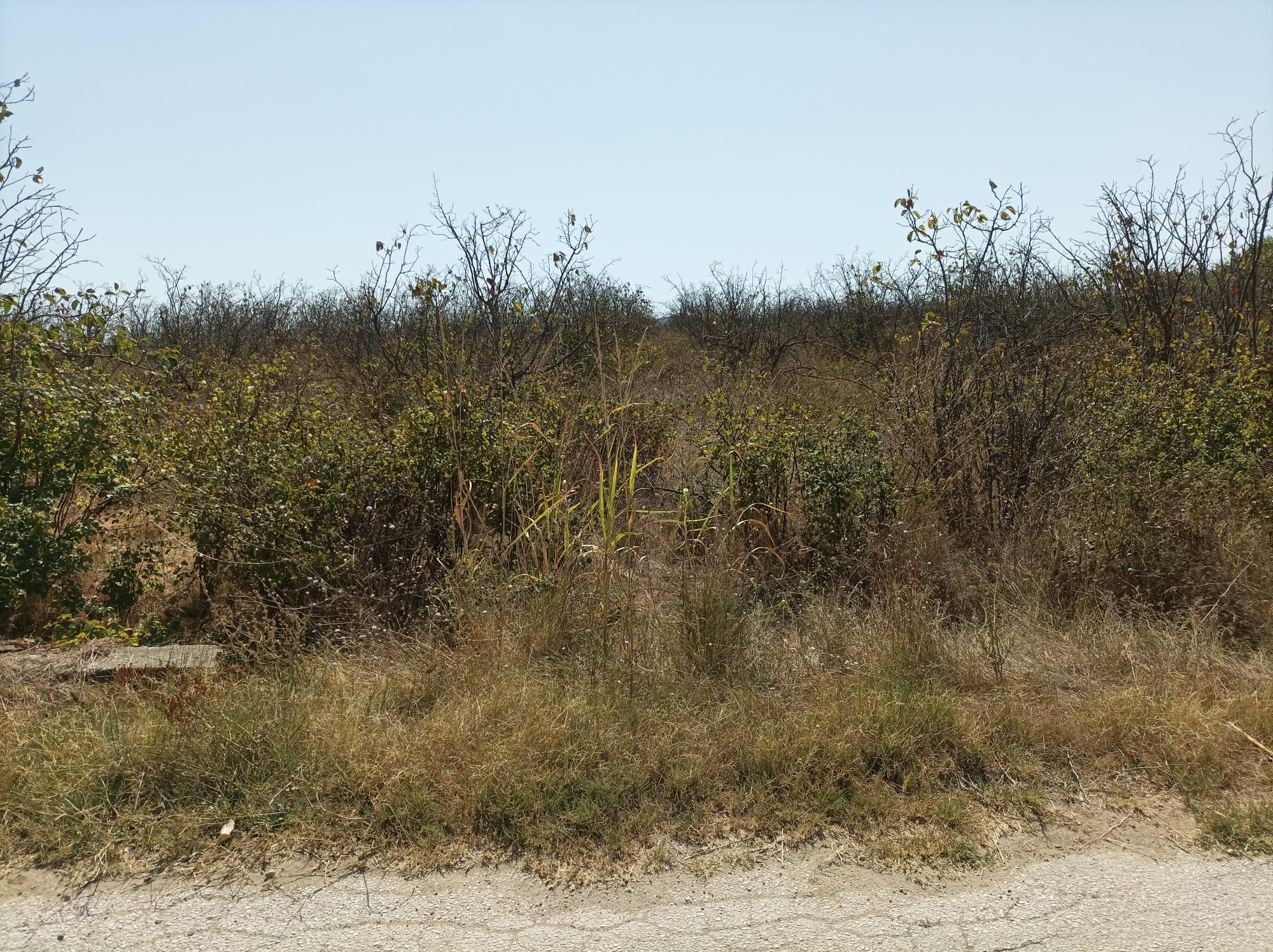 photo0