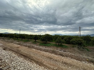 photo0