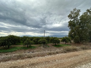 photo2
