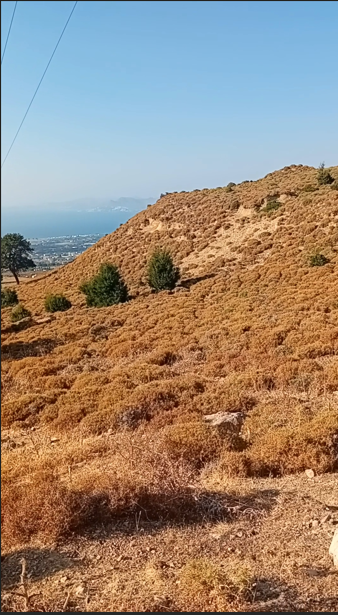 Αγροτεμάχιο  σε πλειστηριασμό Δήμος Κώ