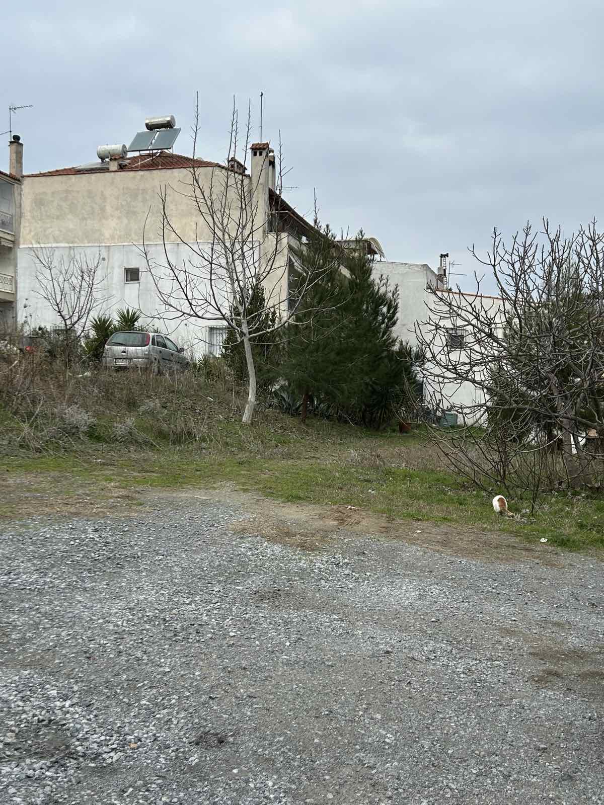 photo2
