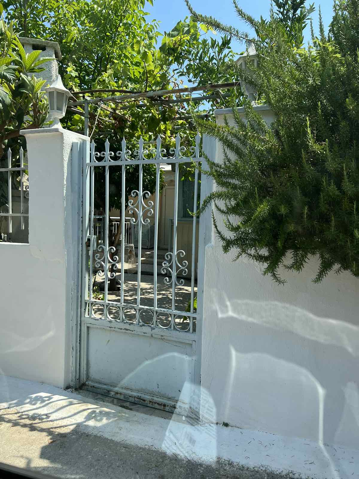 Αγροτεμάχιο με κτίσμα  σε πλειστηριασμό Δήμος Σαλαμίνας