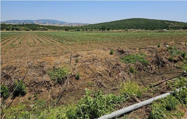 Αγροτεμάχιο  σε πλειστηριασμό Δήμος Δομοκού