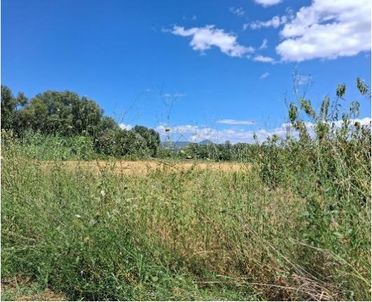 photo1