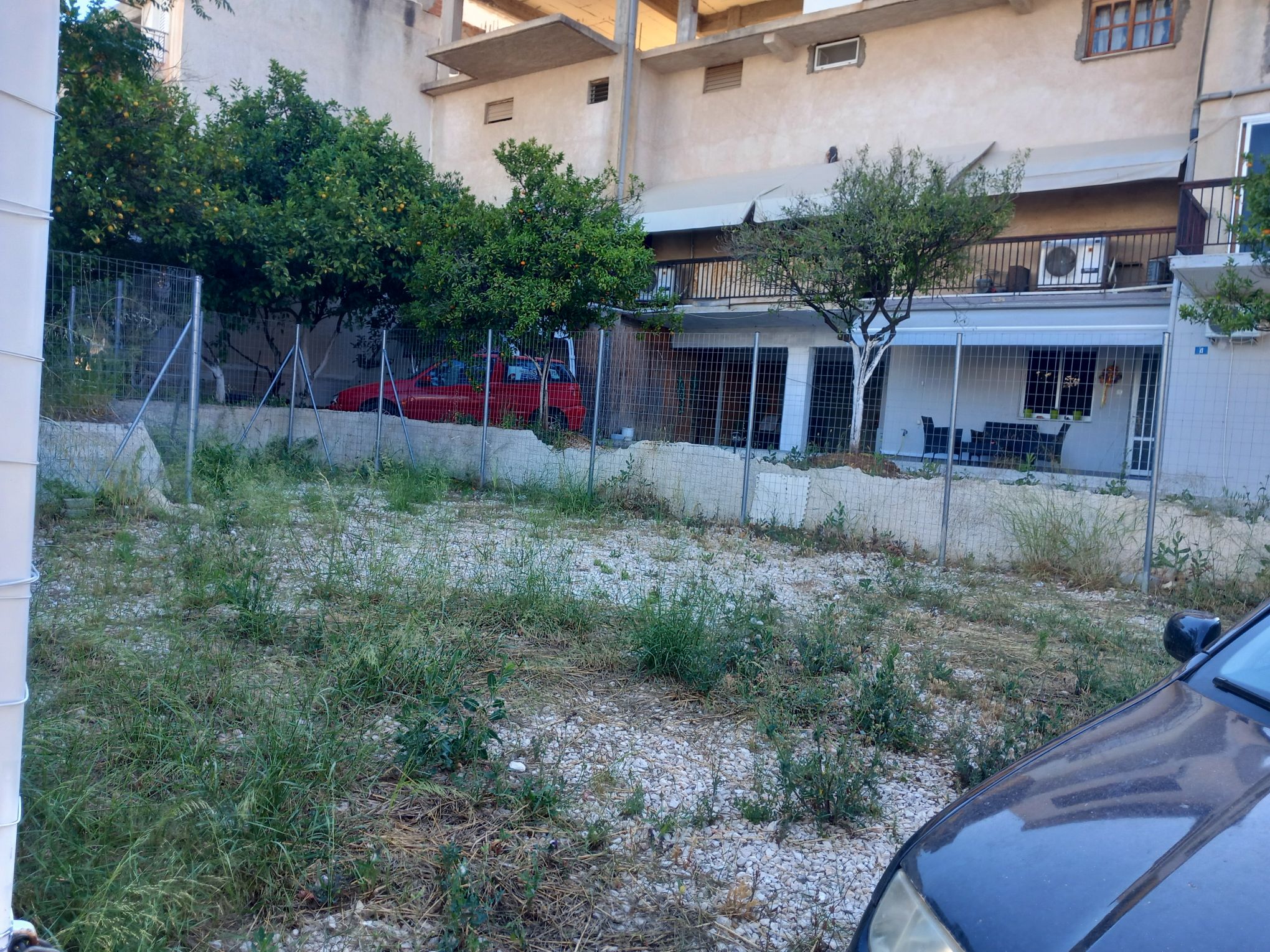 photo3