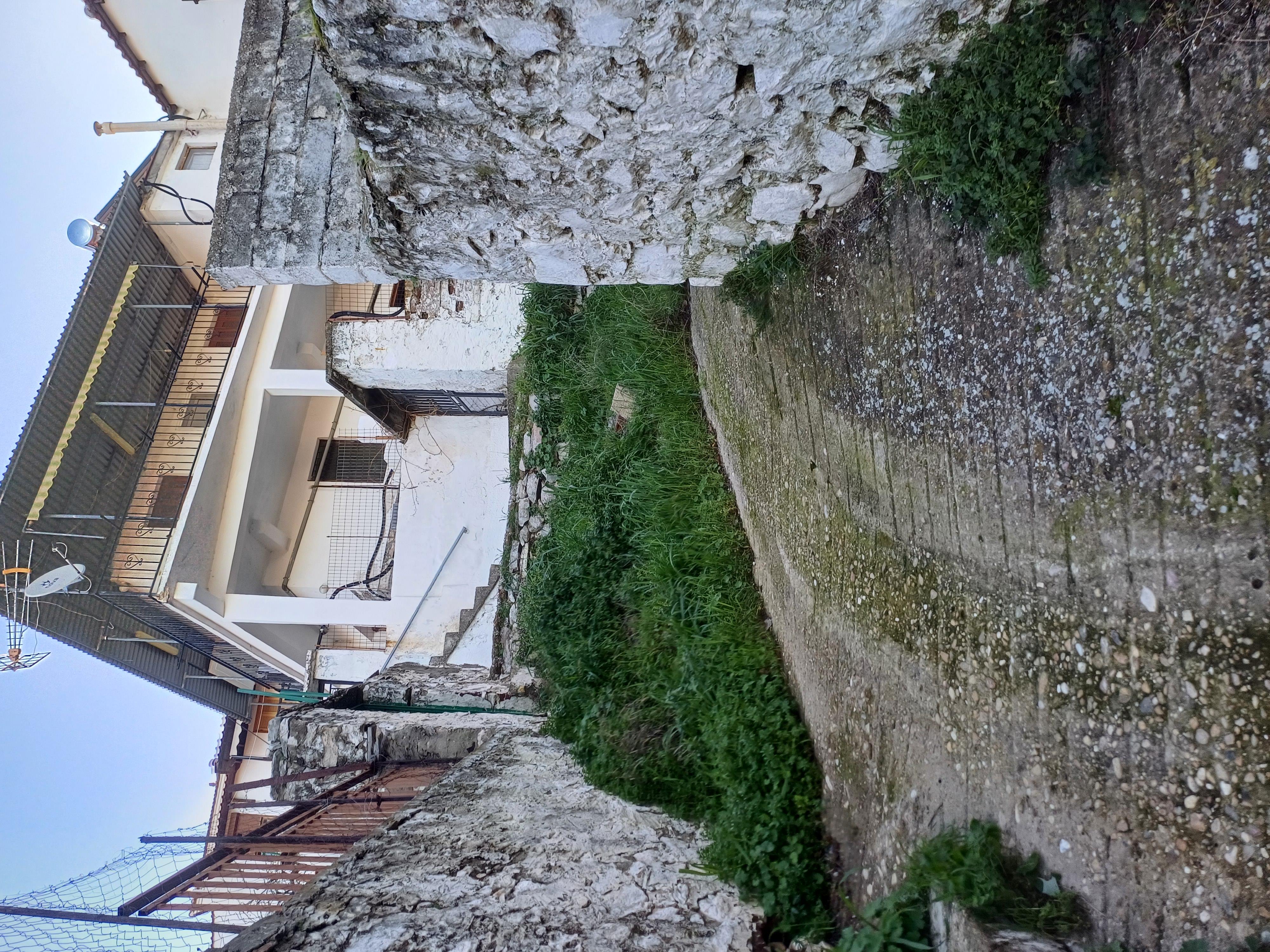 photo2