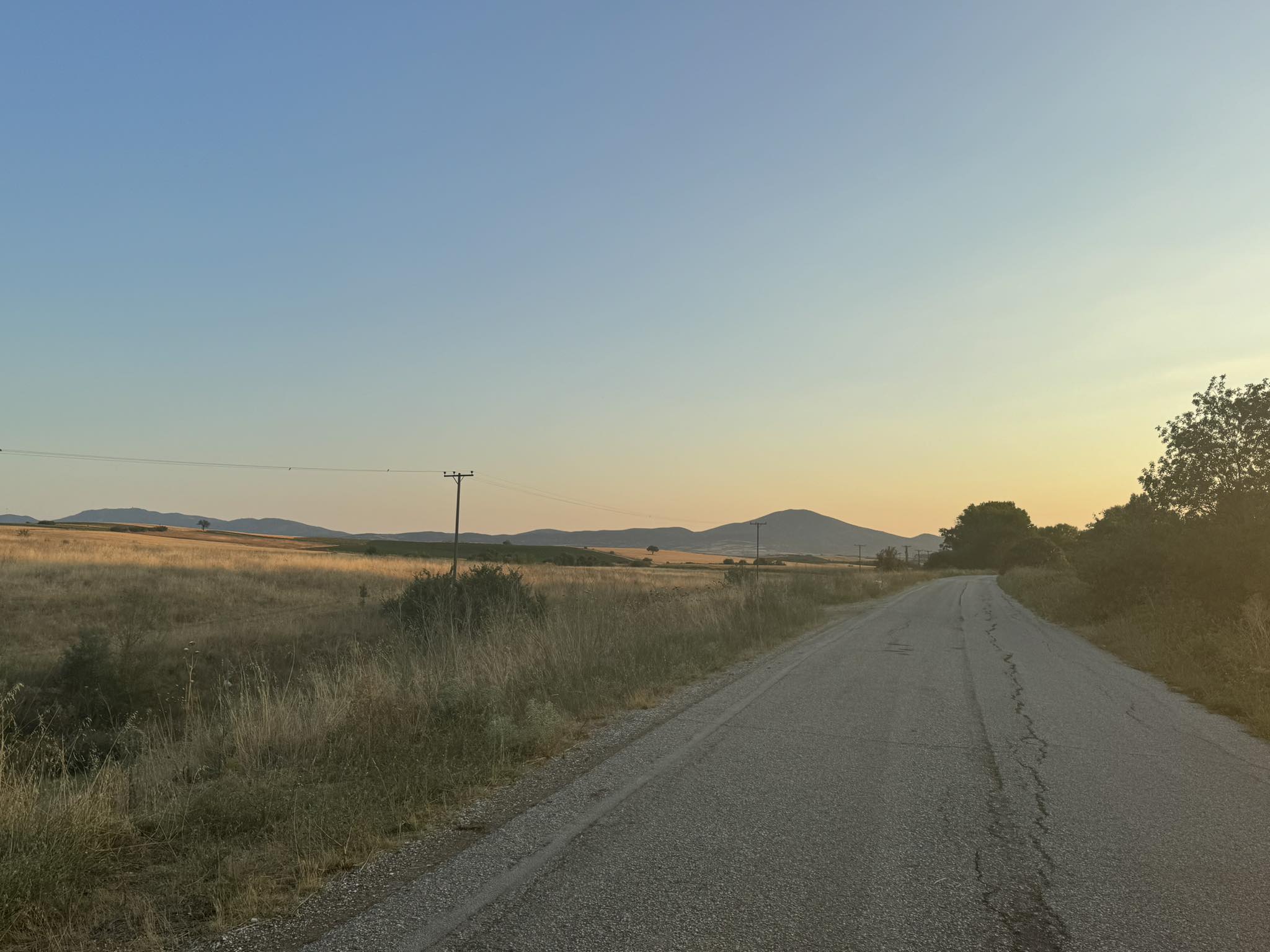 photo2