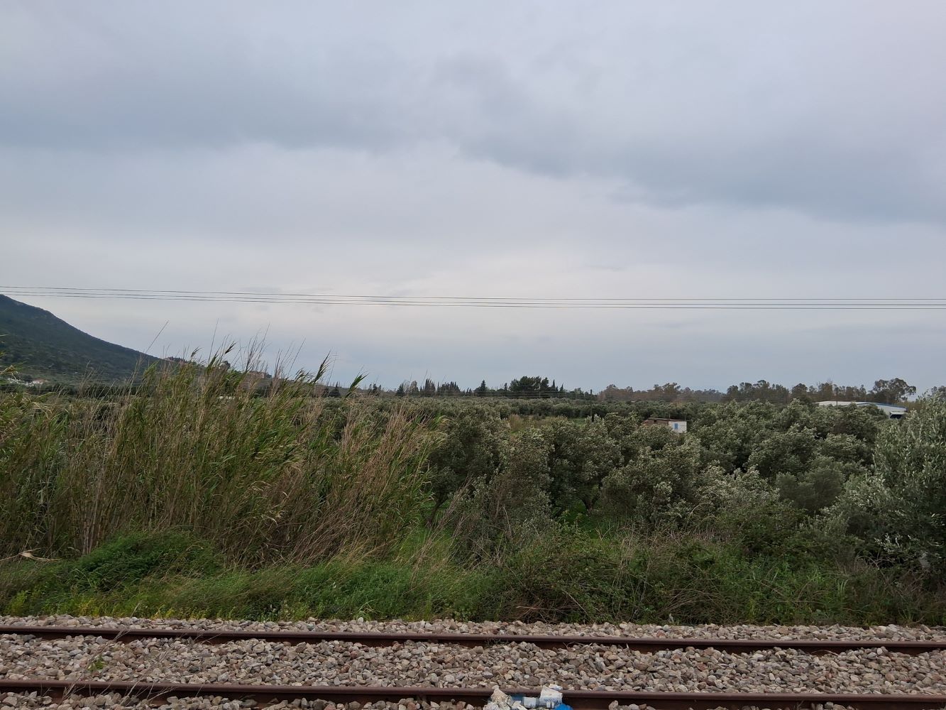 Αγροτεμάχιο  σε πλειστηριασμό Δήμος Ναυπακτίας 