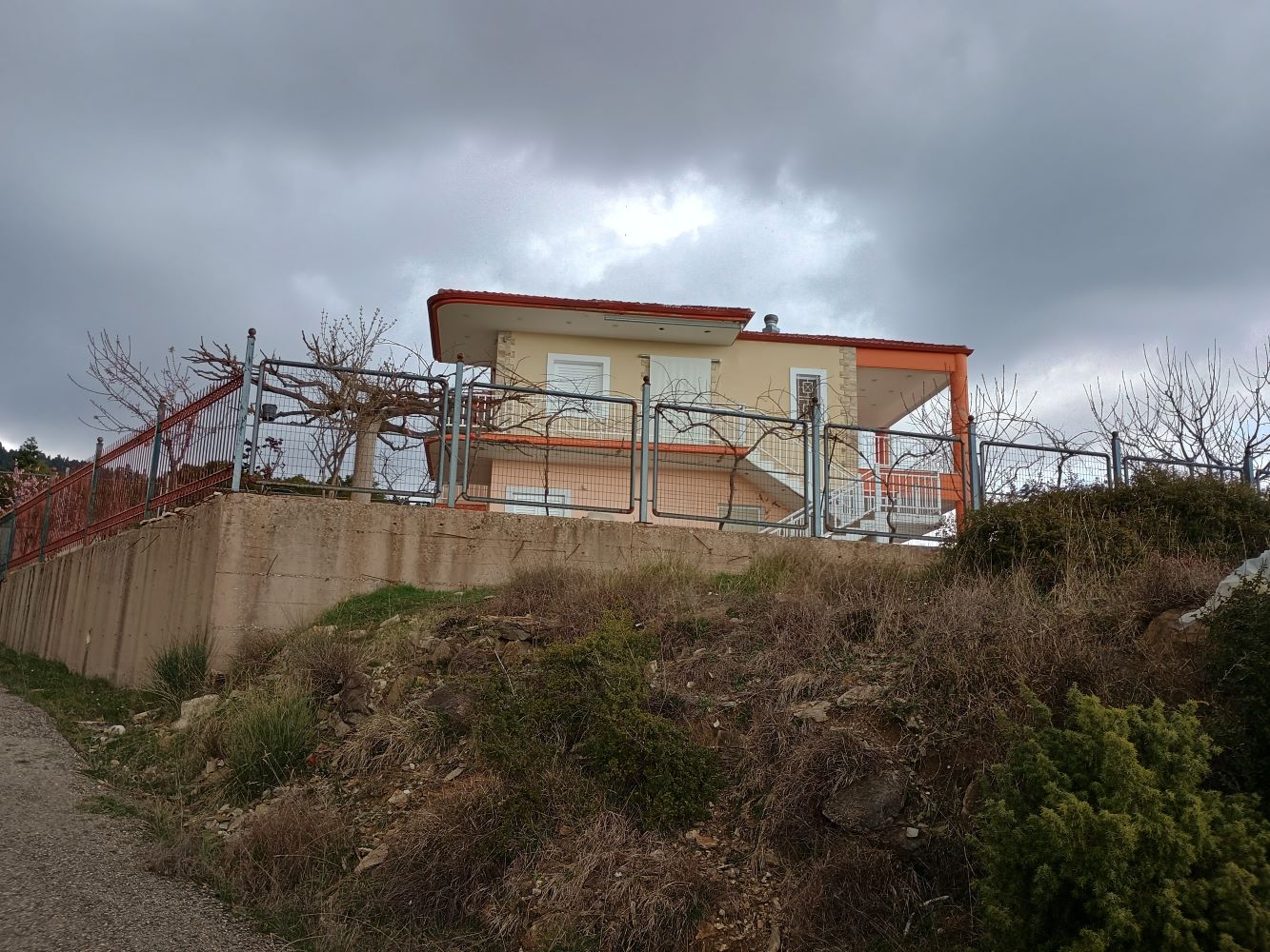 photo2