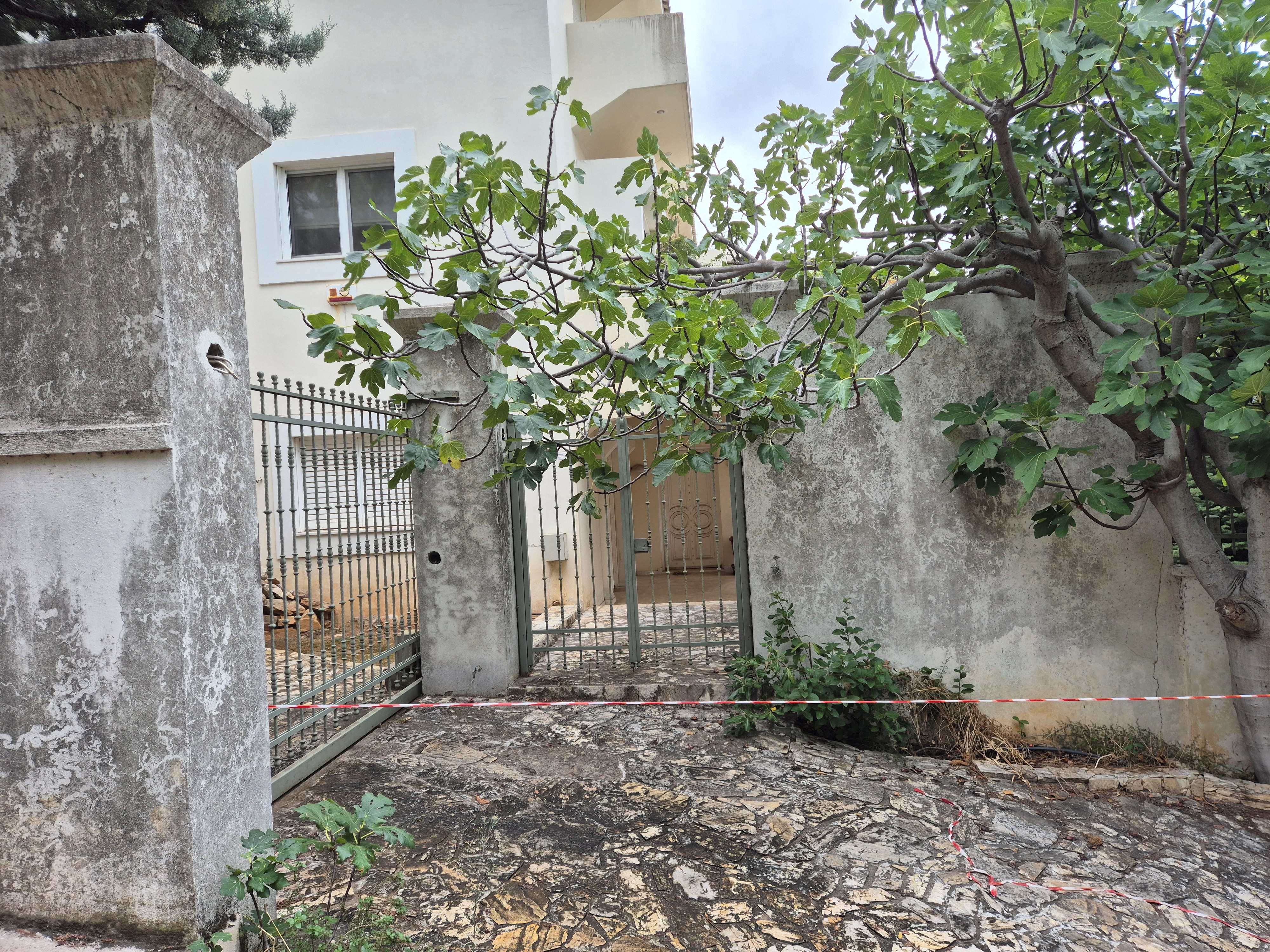 photo5