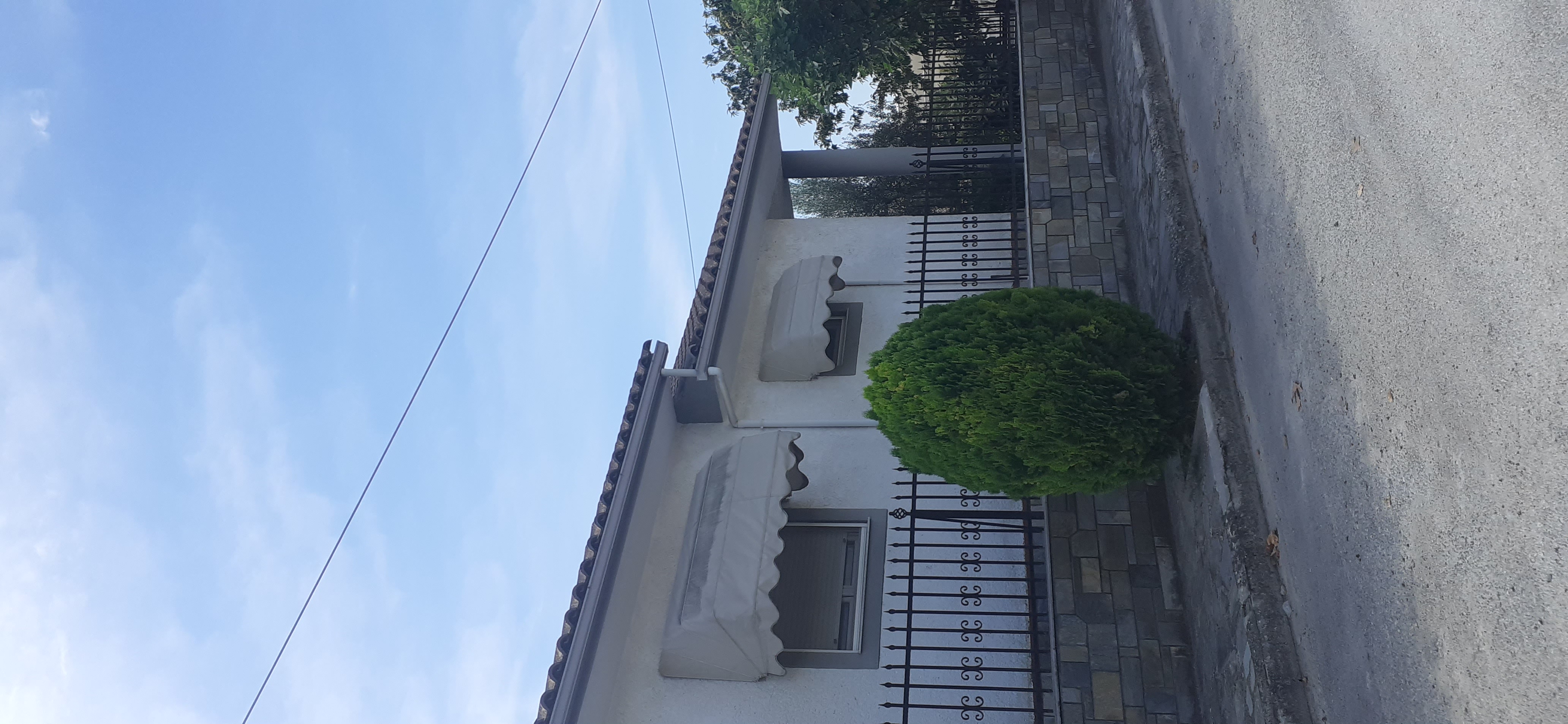 photo0