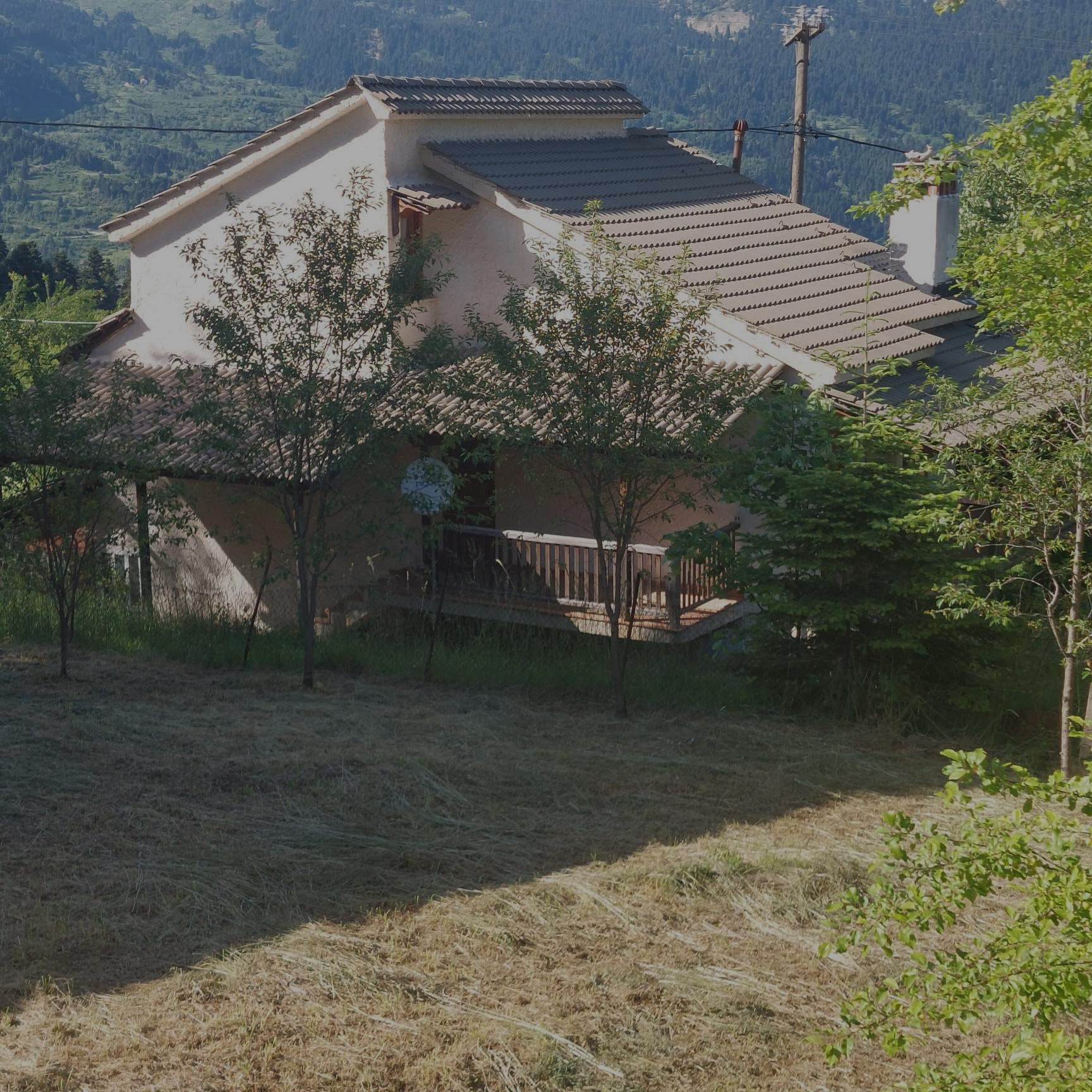 photo5
