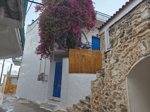 photo0