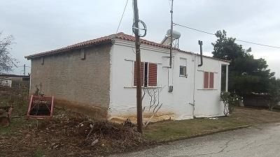 photo2