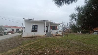 photo5